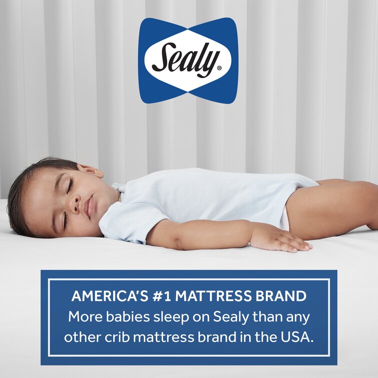 Sealy cozy rest extra clearance firm crib mattress reviews